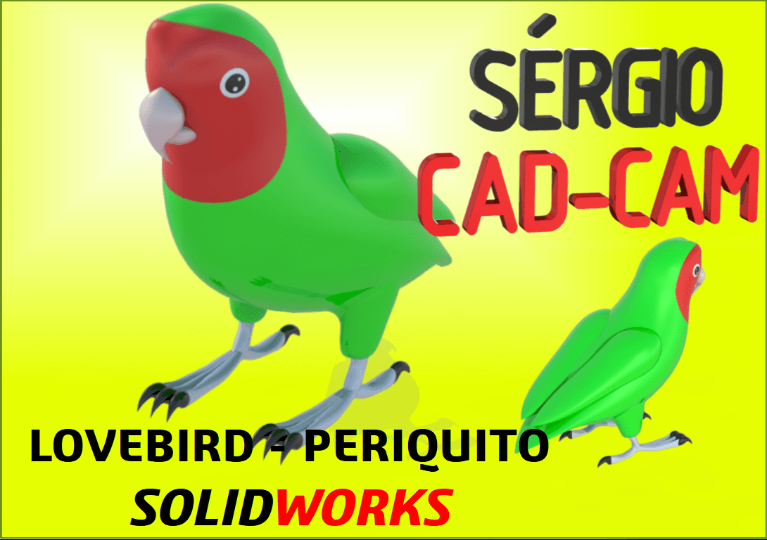 lovebird periquito 3d model
