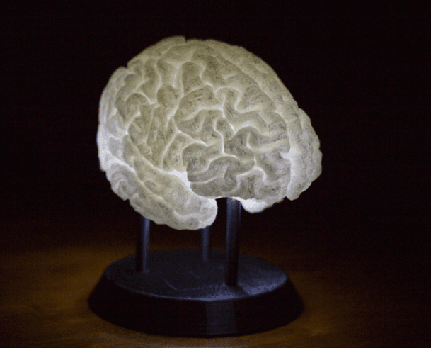 Brain with ALS 3d model