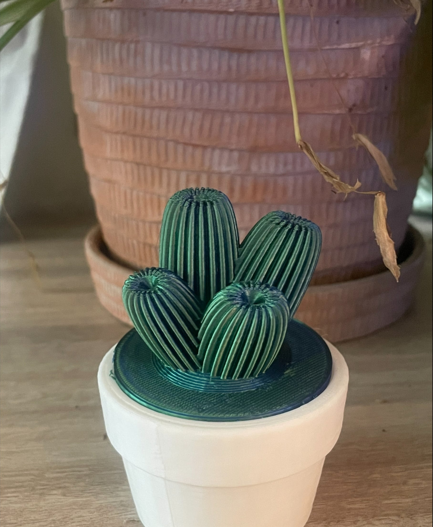 lady finger cactus 3d model