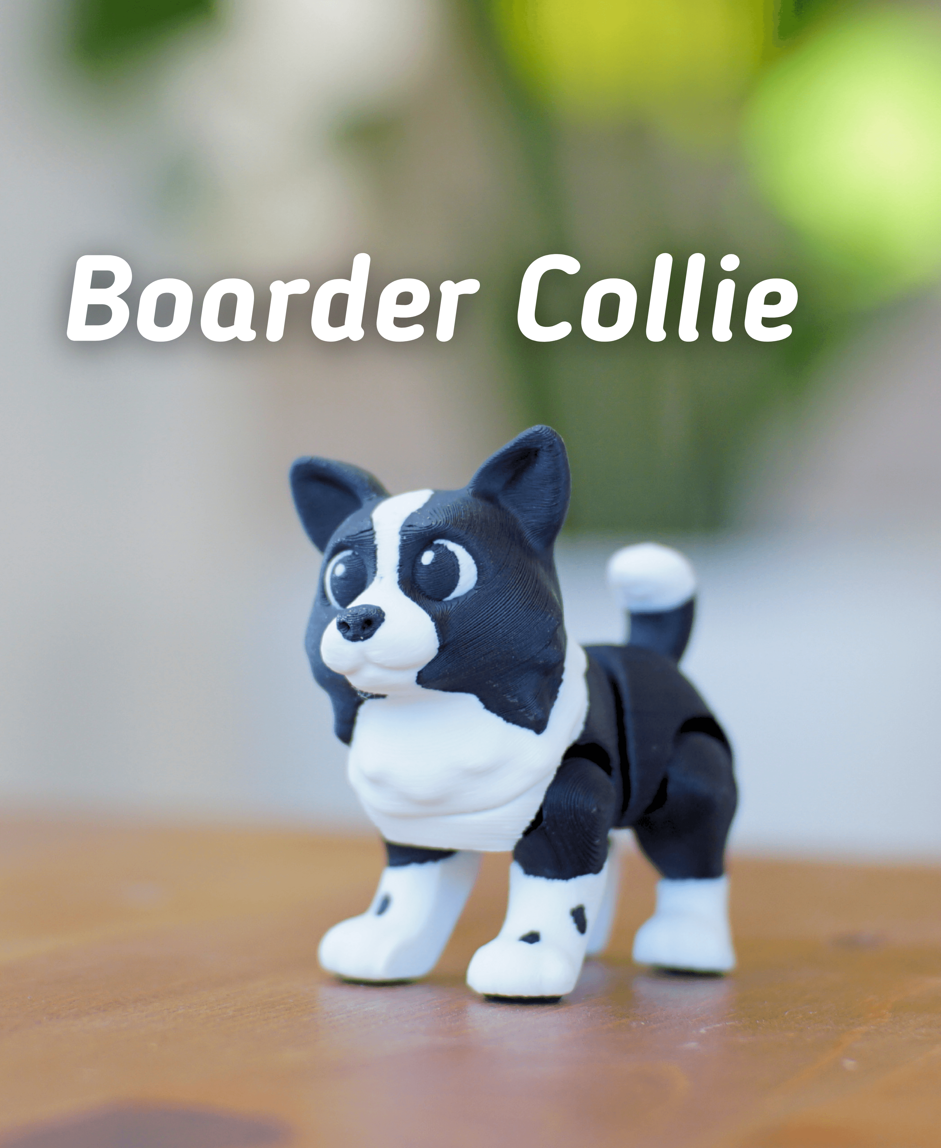 Ludo Boarder Collie - Articulated Fidget Dog 3d model