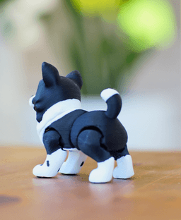 Ludo Boarder Collie - Articulated Fidget Dog 3d model