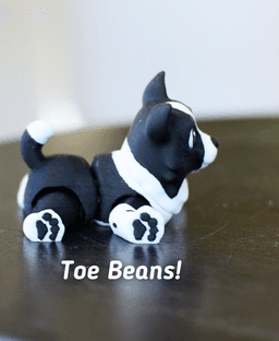 Ludo Boarder Collie - Articulated Fidget Dog 3d model