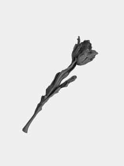 Tulip Free 3D model 3d model