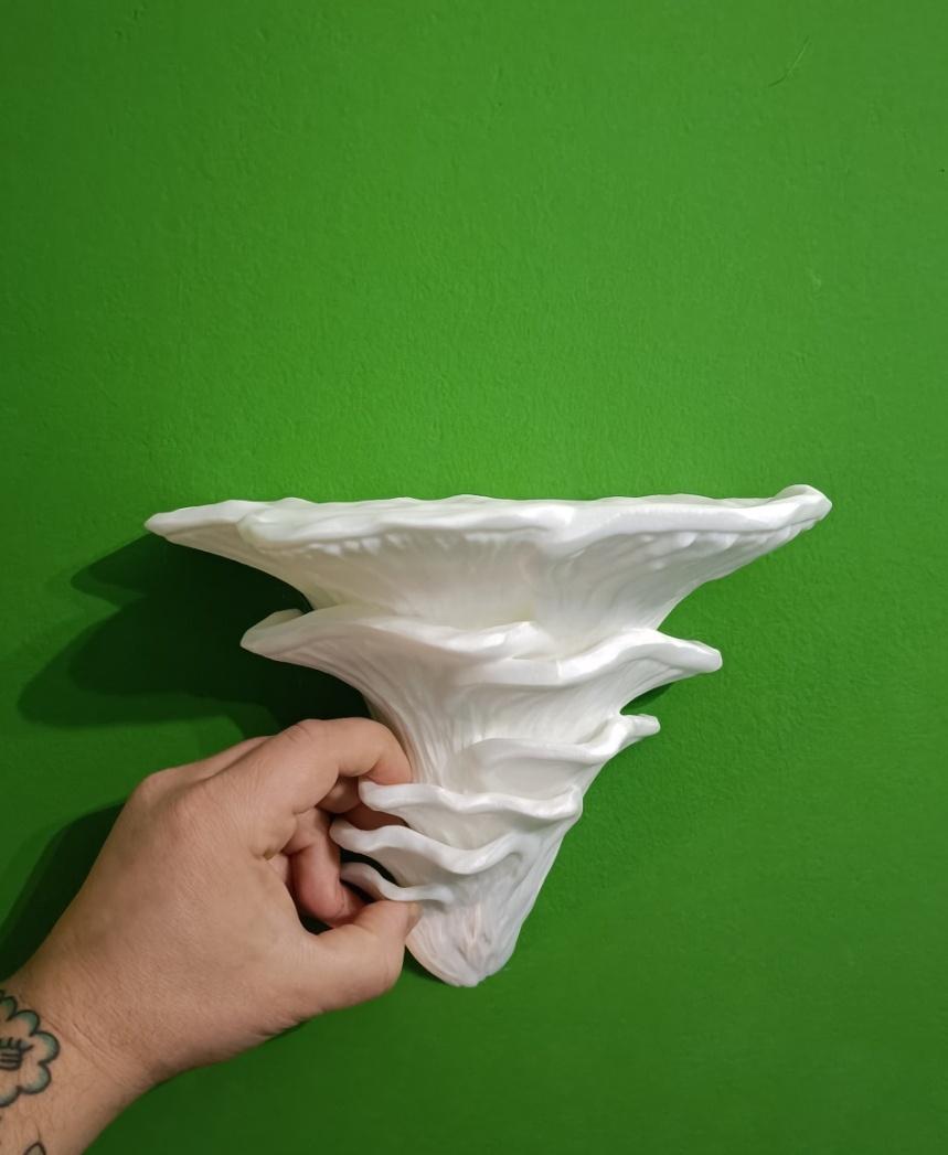 Wall shelf “Djamor Fungus” 3d model