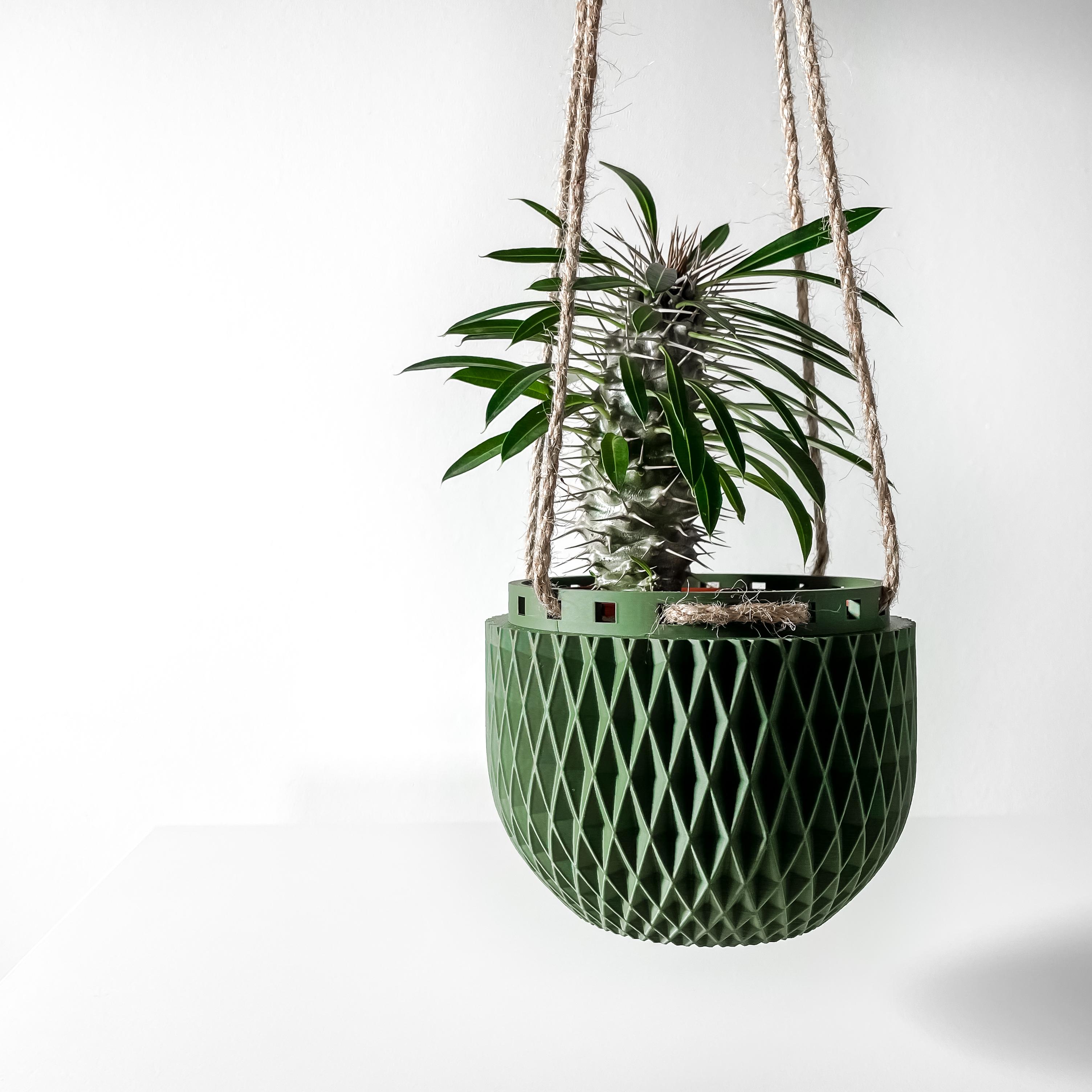 The Dex Hanging Planter Pot | Modern and Unique Home Decor for Plants and Succulents  | STL File 3d model