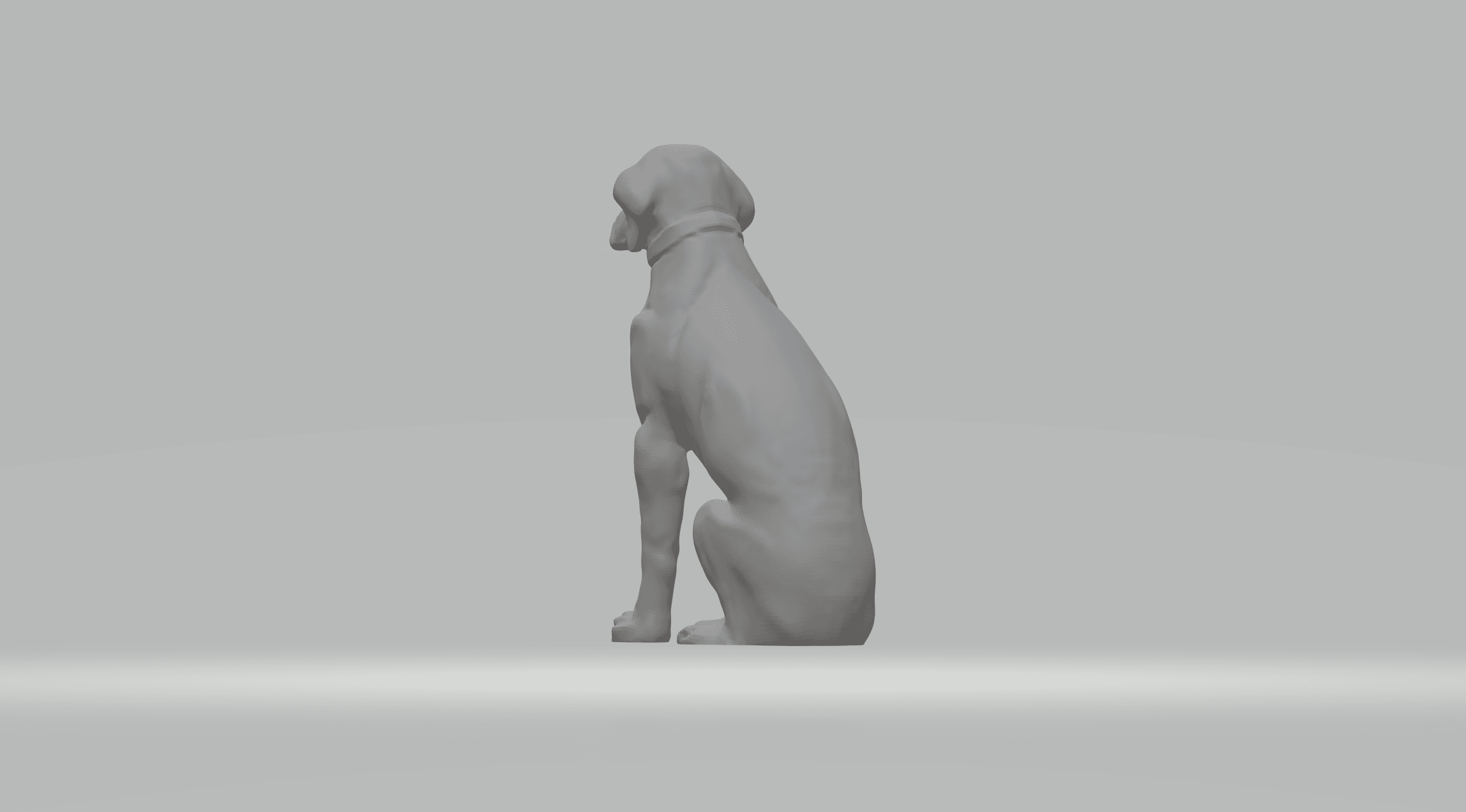Labrador Retriever 3d model