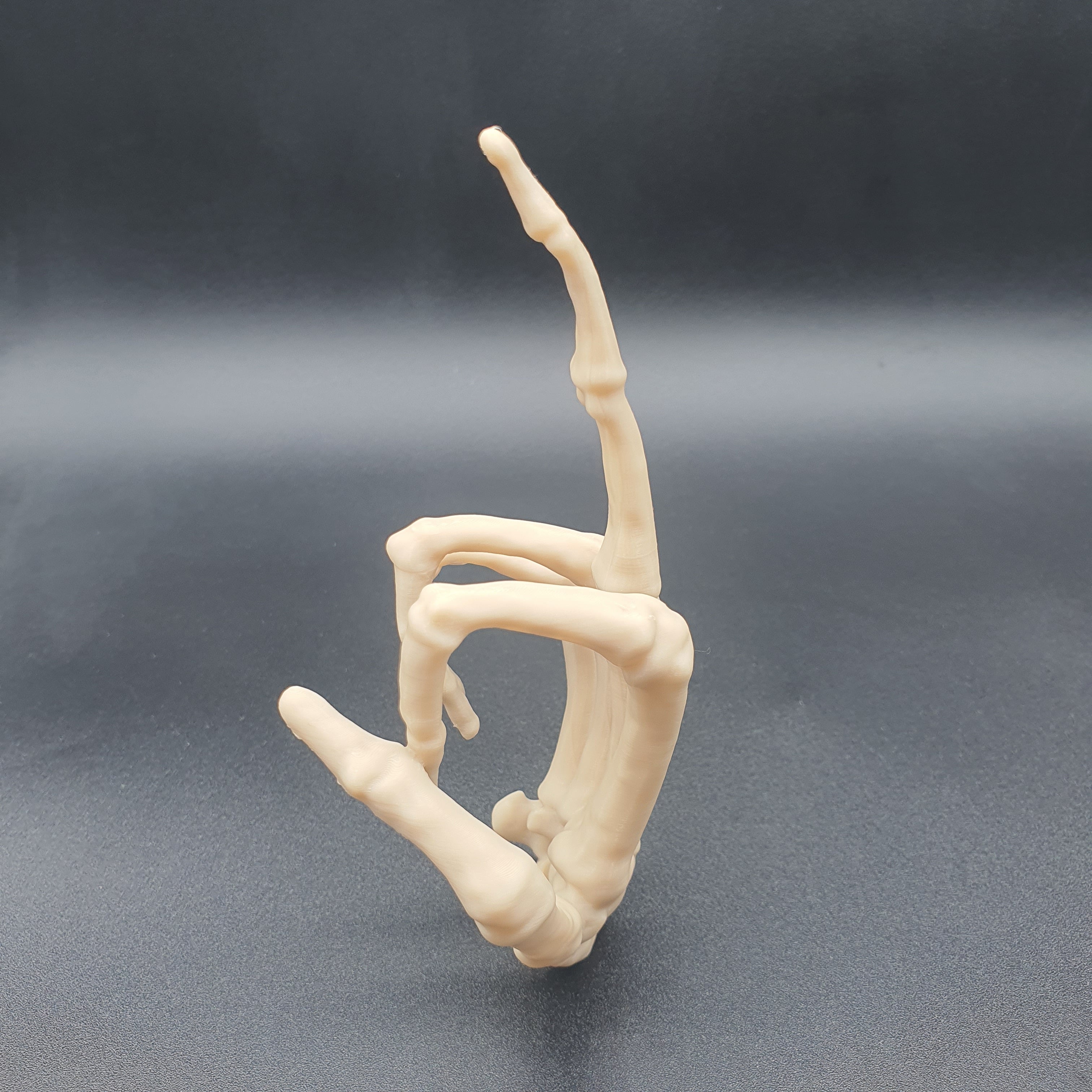 SKELETON HAND MIDDLE FINGER 3d model