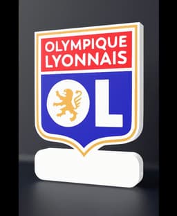 Olympique Lyonnais - LED strip compatible 3d model