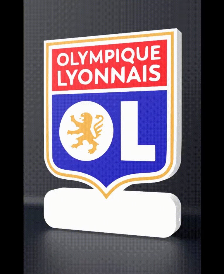 Olympique Lyonnais - LED strip compatible 3d model