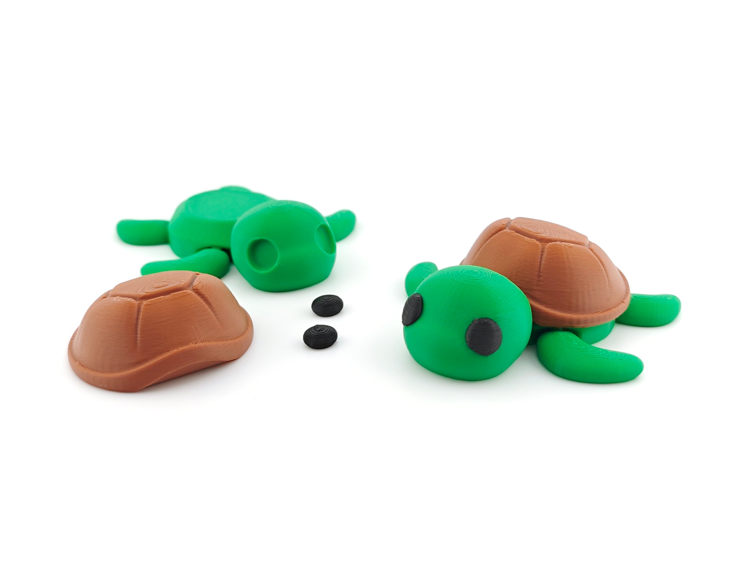 Turtle V2 3d model