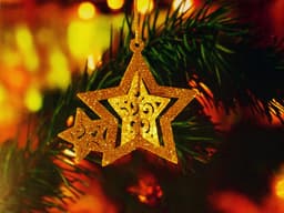 Christmas ornament 3d model
