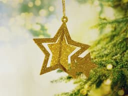 Christmas ornament 3d model
