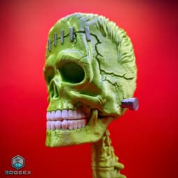 Frankenstein's Skull 3d model