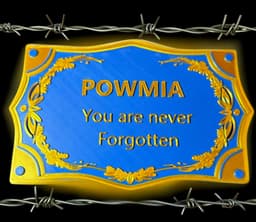POWMIA - You are not Forgotten 3d model