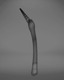 Bellatrix Lestrange’s Wand - Harry Potter 3d model