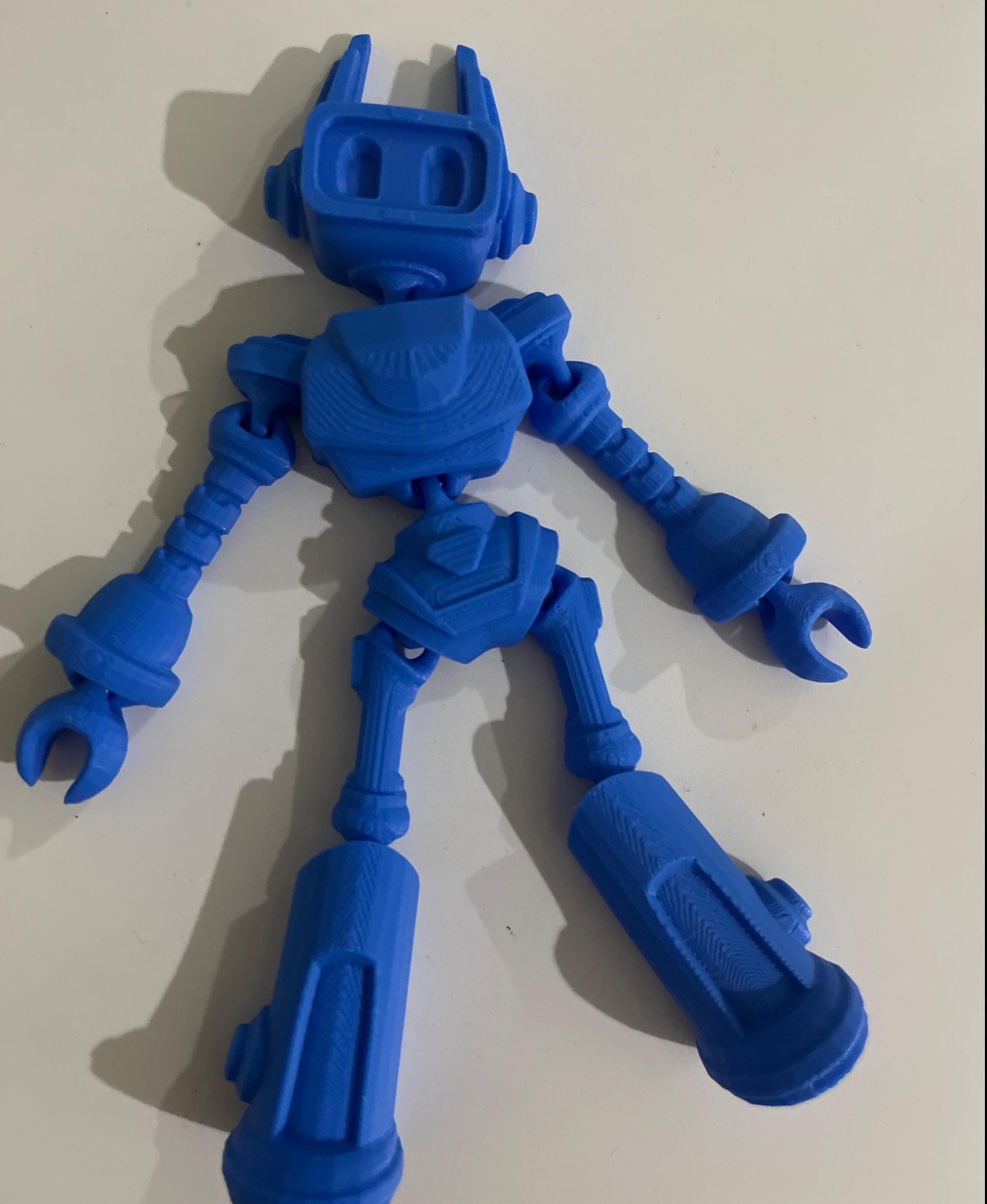 ZILLOLAAB - ZIPPY THE BOT 🤖 - Super cool print! I am new to 3d printing and it was super easy to setup, no supports, no fixing anything, overall really good print and super glad with the results, no issues at all and super flexible!!

I printed it on the Bambu labs a1 mini, with 35% infill ( MIKA3D Blue PLA ) - 3d model