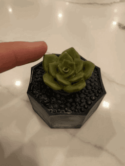 SUCCULENT SPINNER 3d model