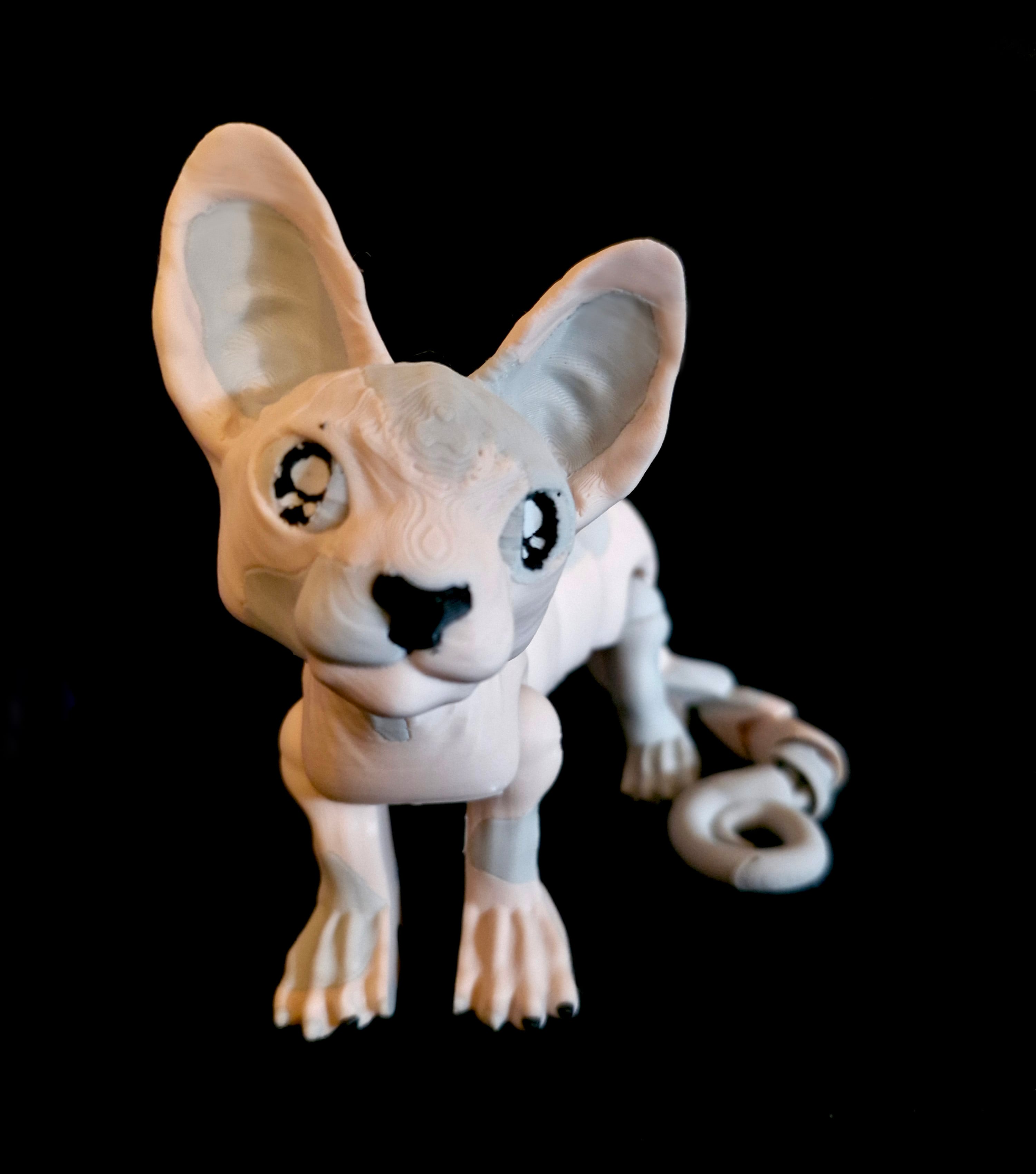 Sphynx Cat *Personal Use* 3d model