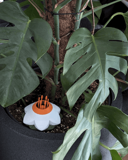 Flower01 - Self-Watering Insert 3d model