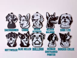 Pack BETA 25 dog keychains 3d model