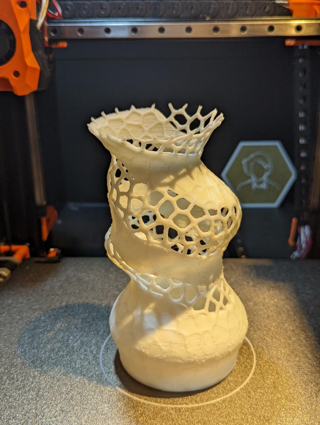 Wobbly Voronoi Vase 3d model