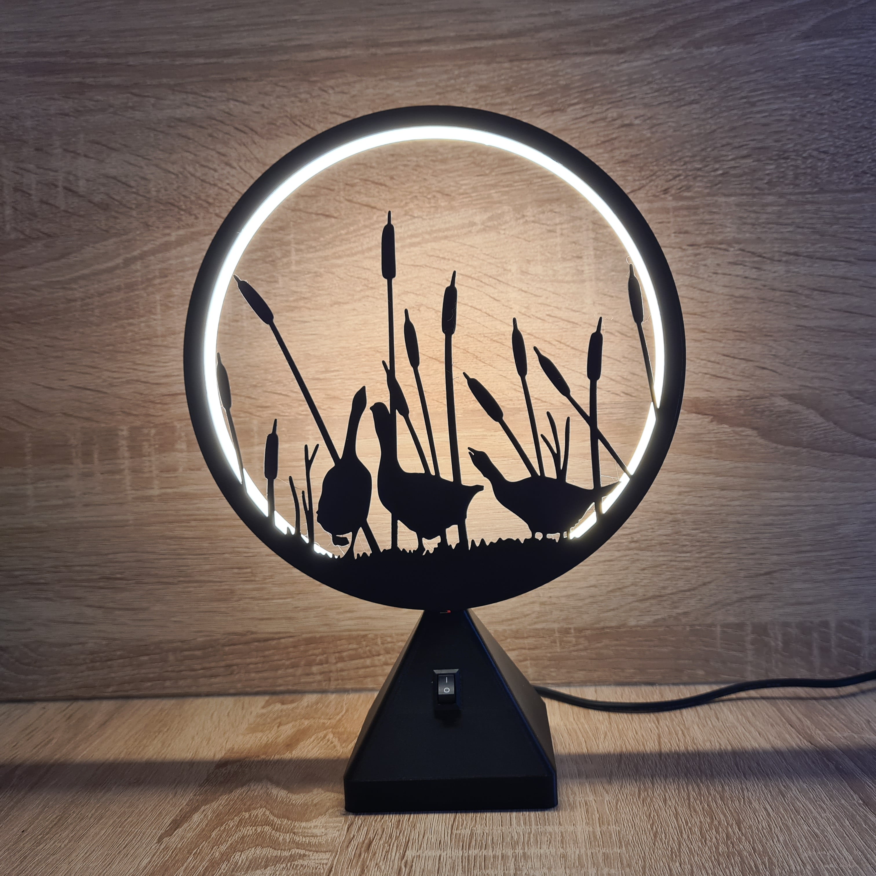 LED Ring Lamp 3d model
