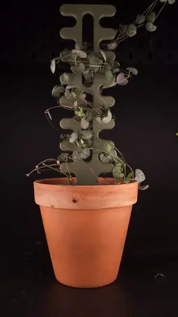 Plant Support 3d model