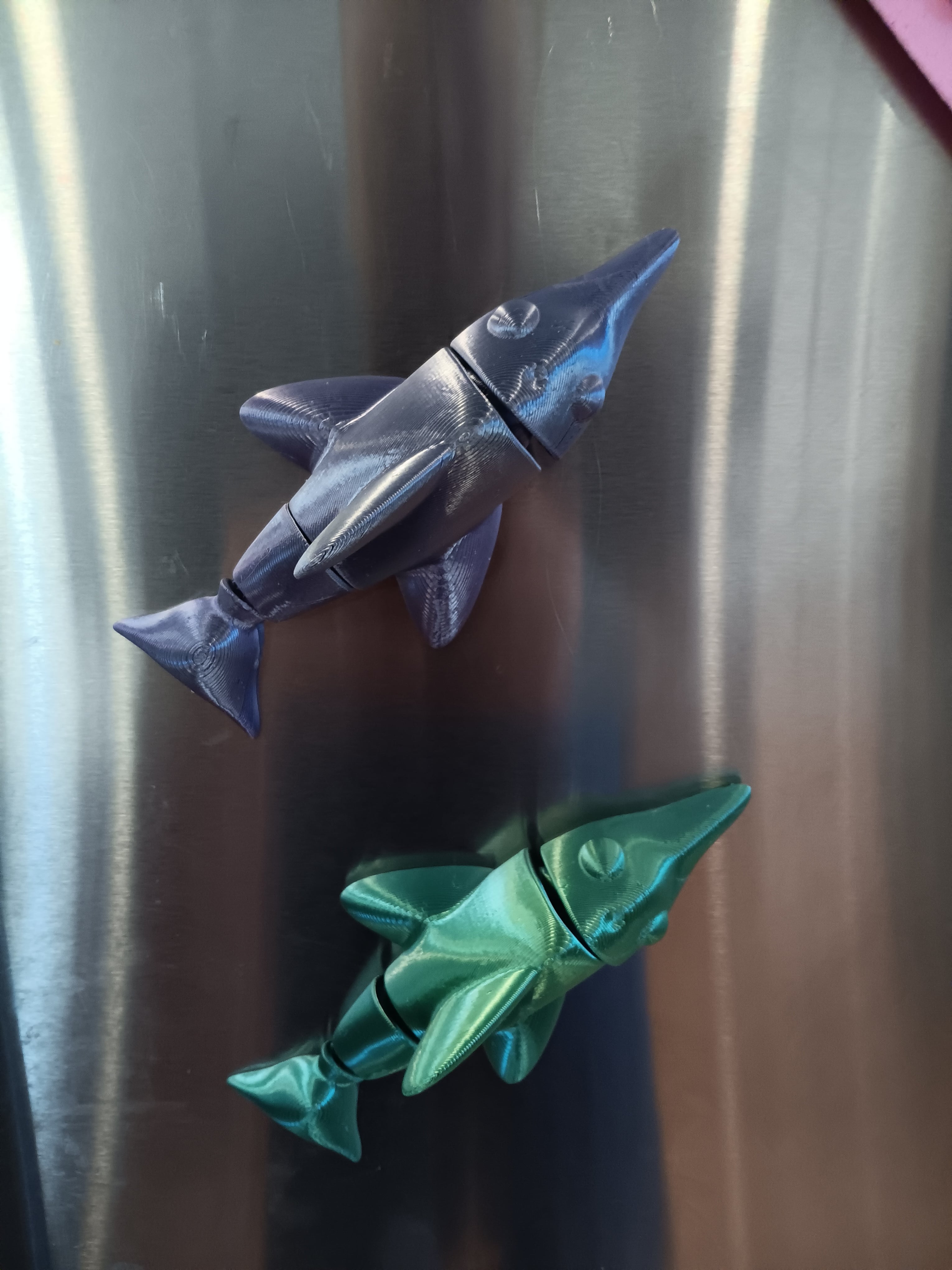 dolphin magnet - FREE - flexi fidget toy and magnet 3d model