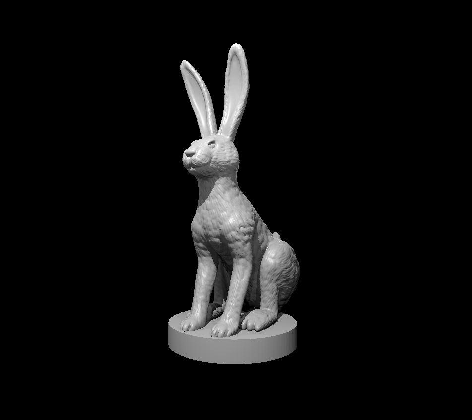 Jack Rabbit - Jack Rabbit - 3d model render - D&D - 3d model