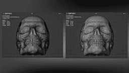 Male Skull Sculpt, Sculpture, Various Versions 3d model