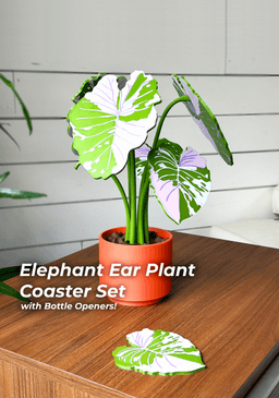 Elephant Ear Plant Coaster and Bottle Opener Set 3d model