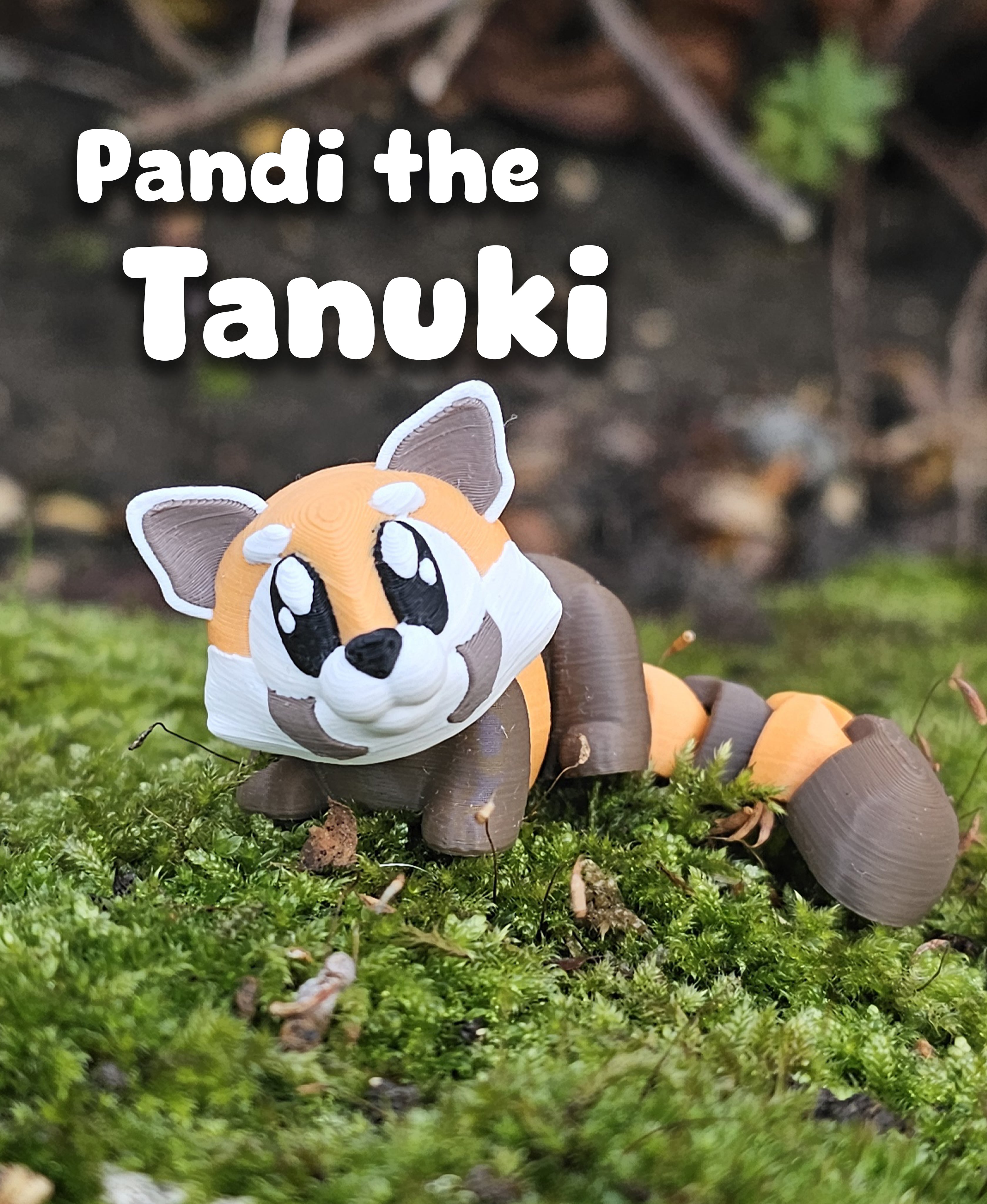 Pandi the Tanuki – Flexi Fidget Tanuki – 3DPAW 3d model