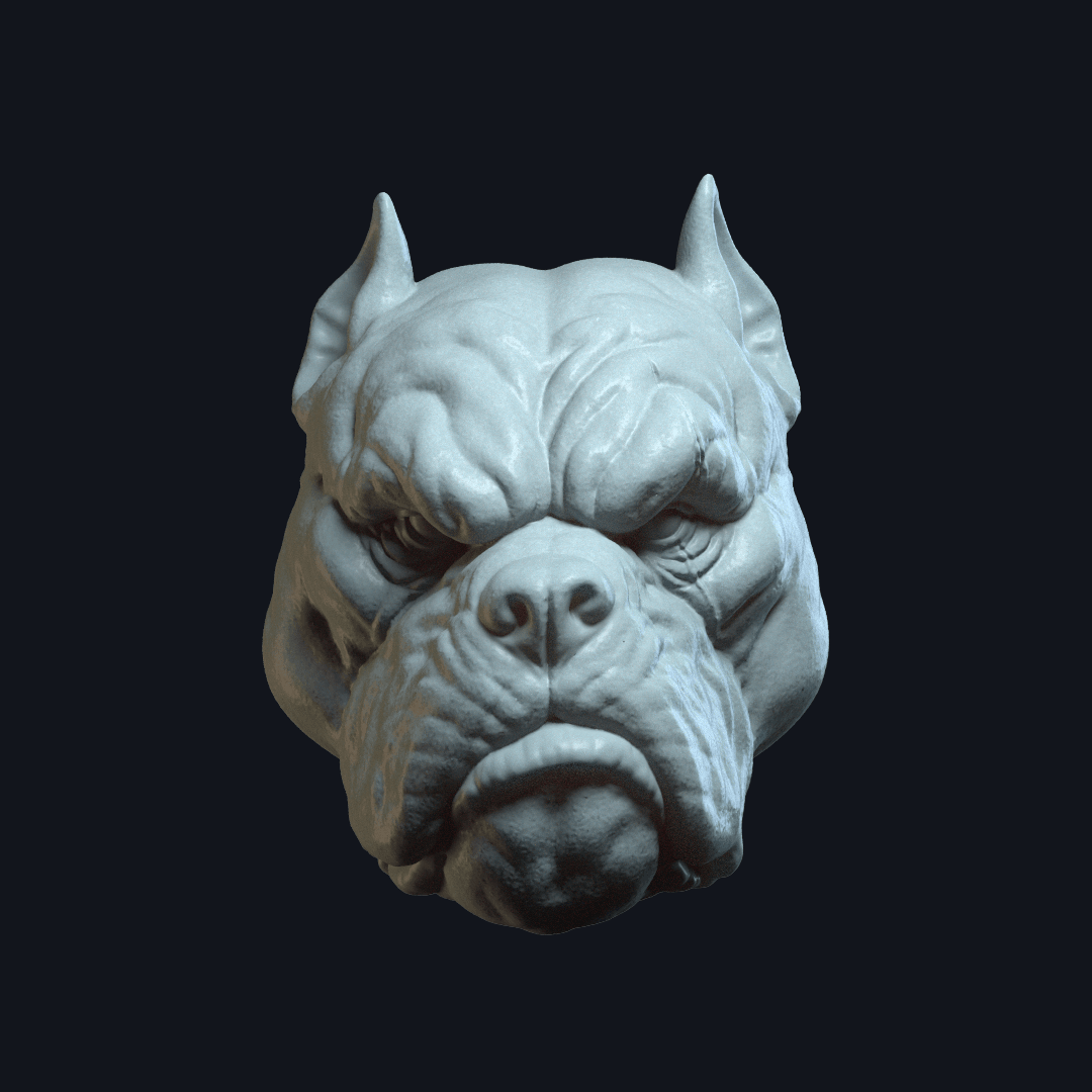 Tarek DreadBone v1 Action Figure Head 3d model