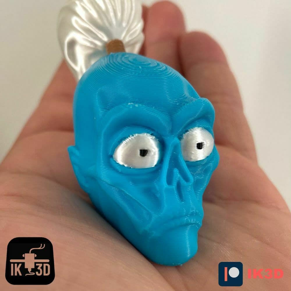 Shrunken Head - Tzantza / 3MF Included / No Supports 3d model