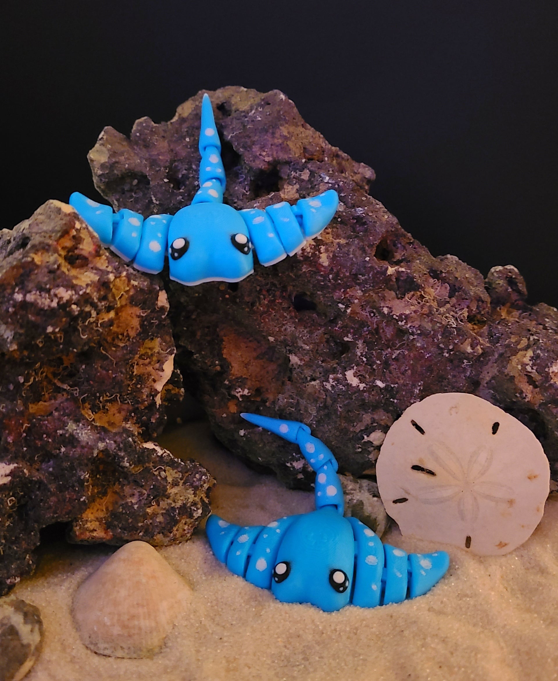 Under the sea, under the sea 🎵