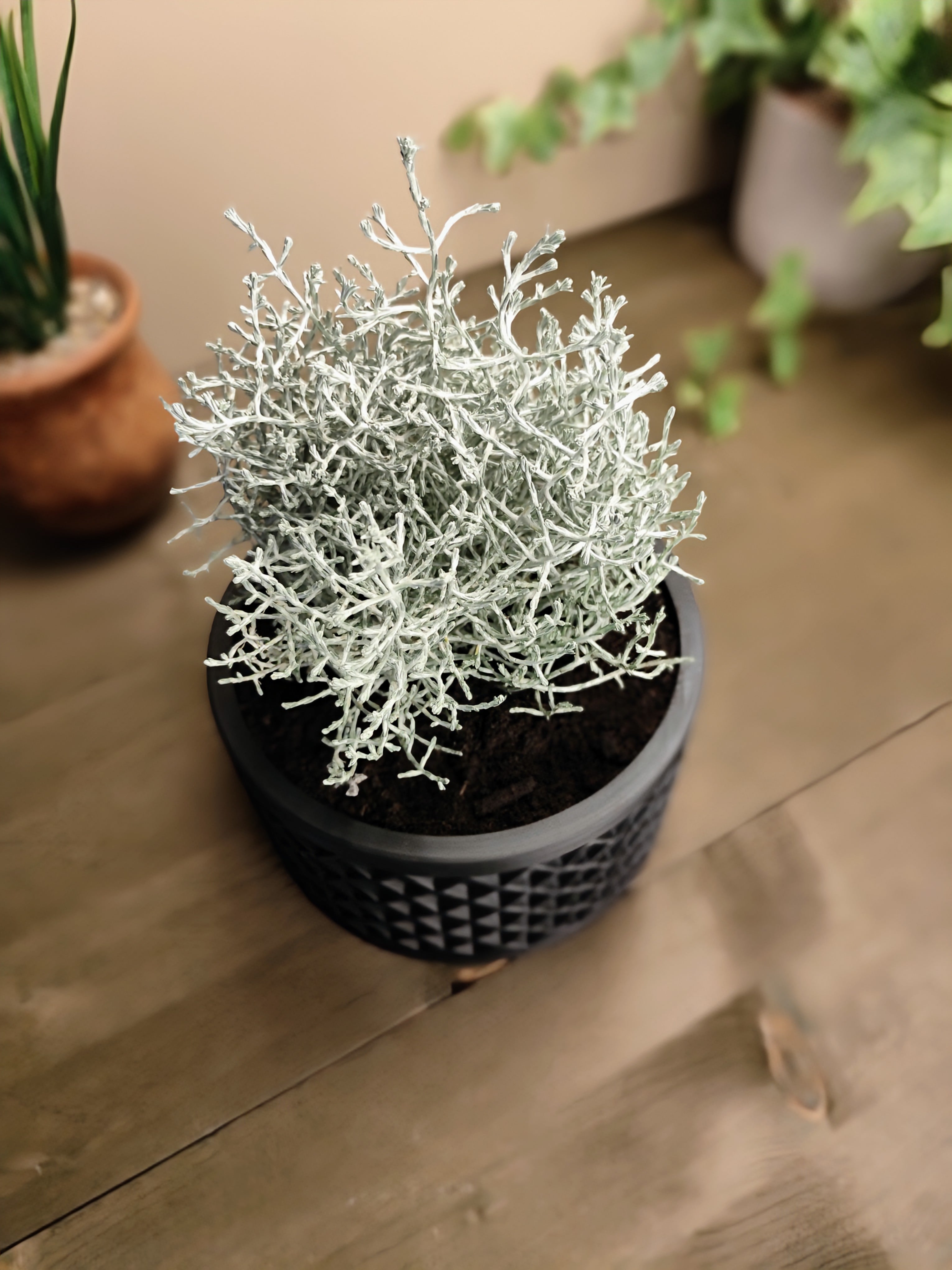 Design Plant Pot "Thousand squares" 3d model
