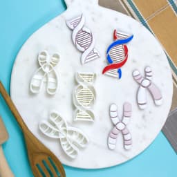DNA Cookie Cutter Set 3d model