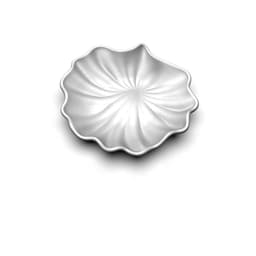 Sea shell 3d model
