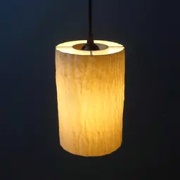 Pendant light spot “Robur Tree” 3d model