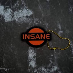 Insane Keychain 3d model