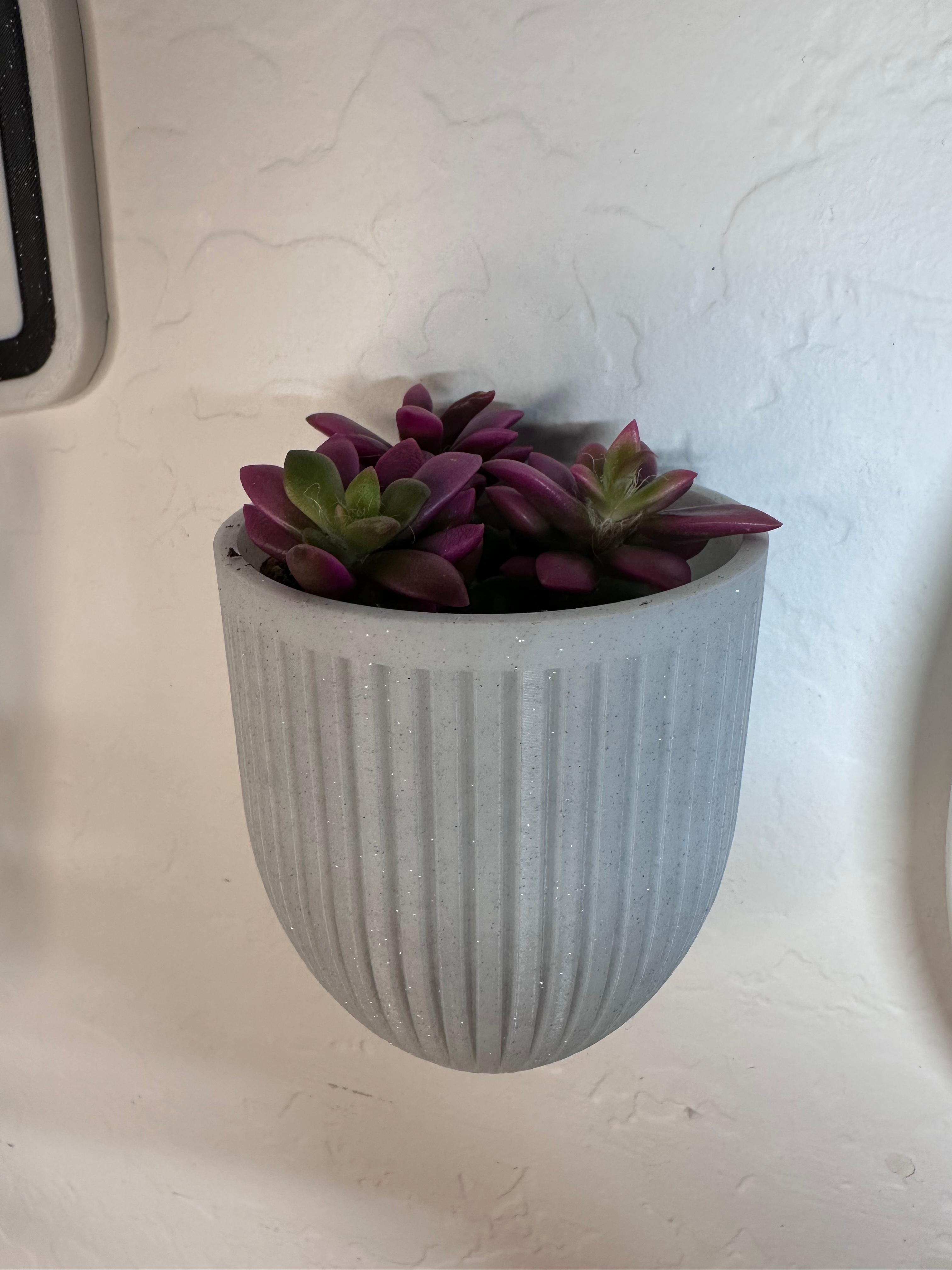 Stylish Wall Mounted Vertical Succulent pot for any office or home.  3d model