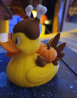 Thanksgiving Ducks 3d model
