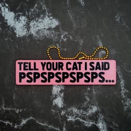 Tell Your Cat I Said Pspsps... Charm 3d model