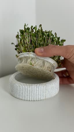 Microgreens Growing Kit – 3D Printable Model for Easy Indoor Gardening 3d model