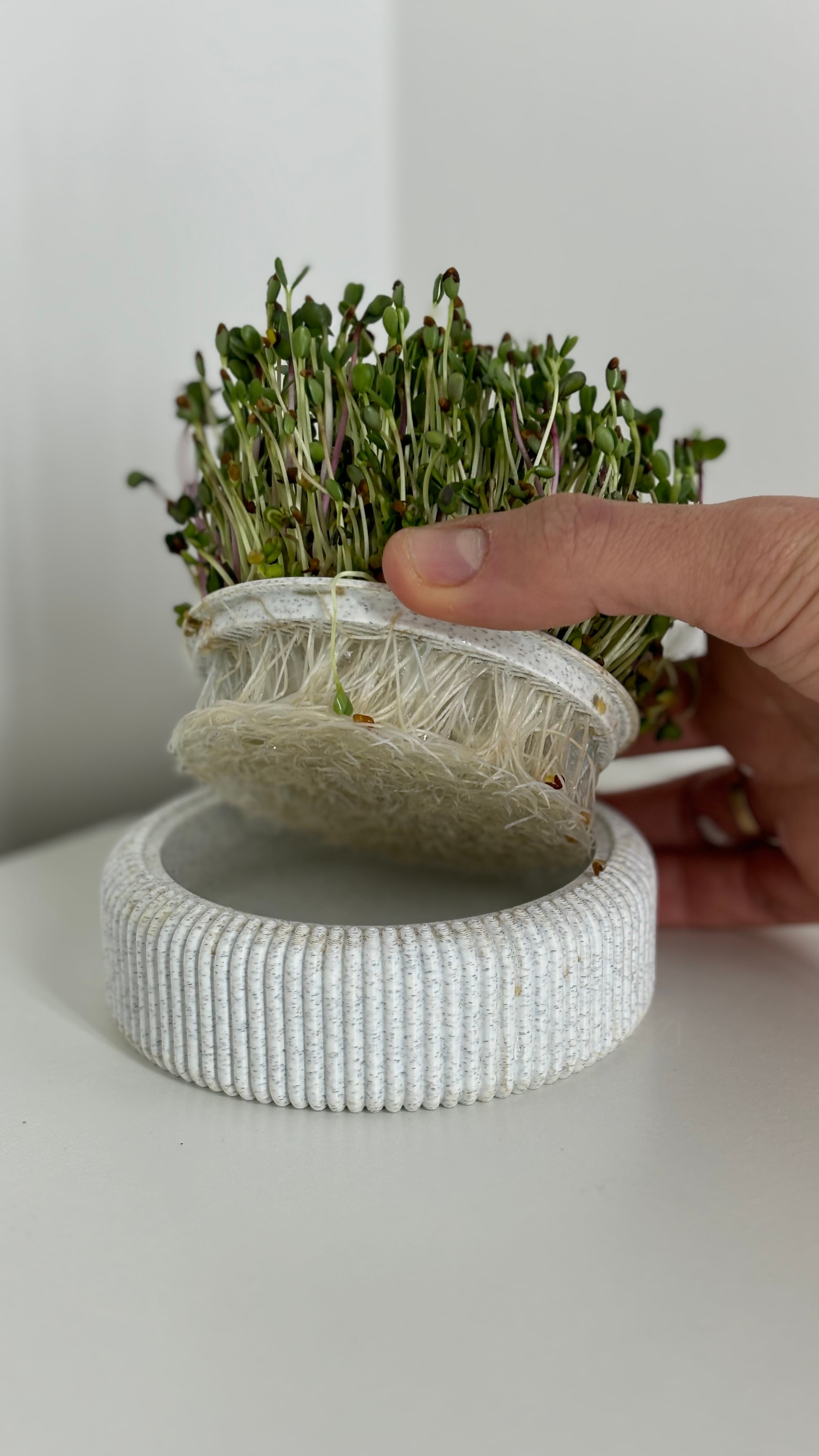 Microgreens Growing Kit – 3D Printable Model for Easy Indoor Gardening 3d model