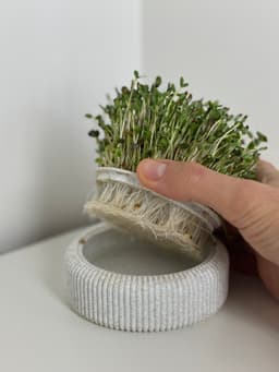 Microgreens Growing Kit – 3D Printable Model for Easy Indoor Gardening 3d model
