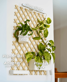 Botanical Bundle for Trellis 3d model