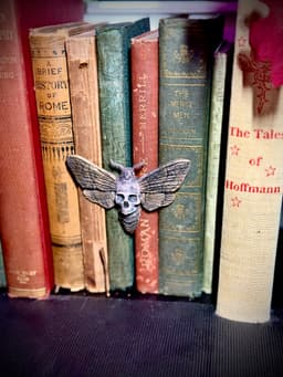 Skull moth spine hugger 3d model