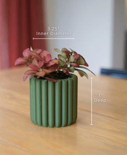 Verdin Pot 3d model