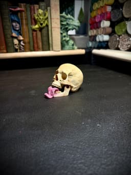 Skull card holder 3d model
